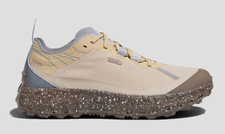 asics shoes